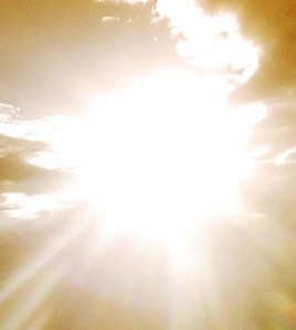 sun319768_8498-crop